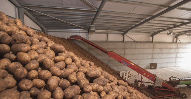 Above ground potato and vegetable storage